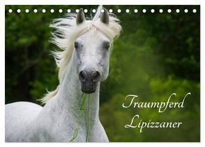 Traumpferd Lipizzaner (Tischkalender 2024 DIN A5 quer), CALVENDO Monatskalender von Starick,  Sigrid