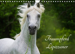 Traumpferd Lipizzaner (Wandkalender 2023 DIN A4 quer) von Starick,  Sigrid