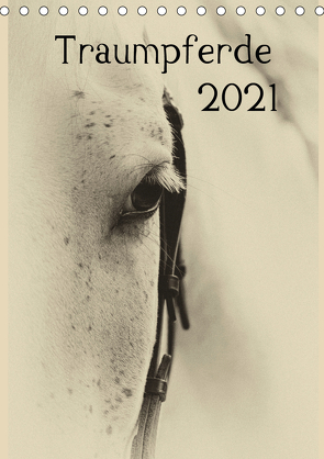 Traumpferde 2021 (Tischkalender 2021 DIN A5 hoch) von vdp-fotokunst.de