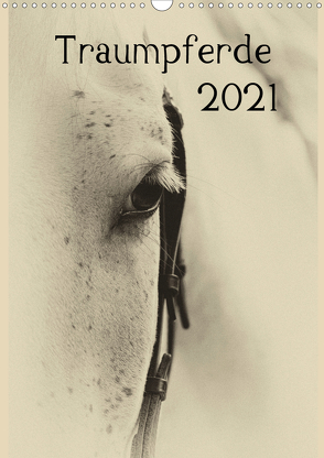 Traumpferde 2021 (Wandkalender 2021 DIN A3 hoch) von vdp-fotokunst.de