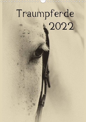 Traumpferde 2022 (Wandkalender 2022 DIN A3 hoch) von vdp-fotokunst.de