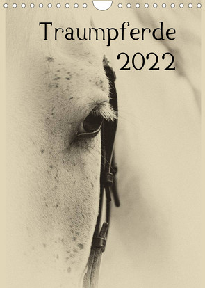 Traumpferde 2022 (Wandkalender 2022 DIN A4 hoch) von vdp-fotokunst.de