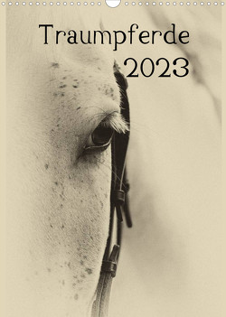 Traumpferde 2023 (Wandkalender 2023 DIN A3 hoch) von vdp-fotokunst.de