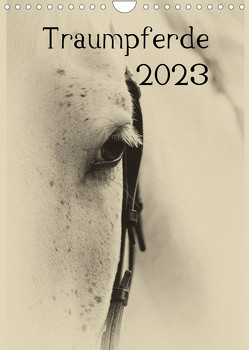Traumpferde 2023 (Wandkalender 2023 DIN A4 hoch) von vdp-fotokunst.de