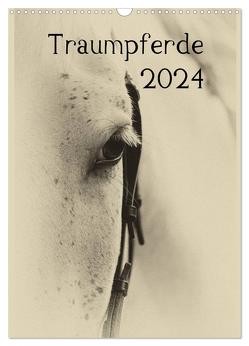 Traumpferde 2024 (Wandkalender 2024 DIN A3 hoch), CALVENDO Monatskalender von vdp-fotokunst.de,  vdp-fotokunst.de