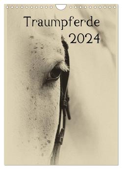 Traumpferde 2024 (Wandkalender 2024 DIN A4 hoch), CALVENDO Monatskalender von vdp-fotokunst.de,  vdp-fotokunst.de