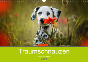 Traumschnauzen (Wandkalender 2021 DIN A3 quer) von Dzierzawa,  Judith