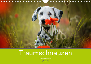 Traumschnauzen (Wandkalender 2021 DIN A4 quer) von Dzierzawa,  Judith