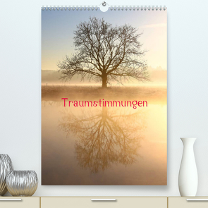 Traumstimmungen (Premium, hochwertiger DIN A2 Wandkalender 2023, Kunstdruck in Hochglanz) von Kaiser,  Bernhard