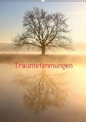 Traumstimmungen (Wandkalender 2019 DIN A2 hoch) von Kaiser,  Bernhard