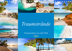 Traumstrände – Naturparadiese aus aller Welt (Wandkalender 2023 DIN A4 quer) von Colombo,  Matteo