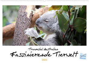Traumziel Australien – Faszinierende Tierwelt 2023 (Wandkalender 2023 DIN A2 quer) von Kinderaktionär