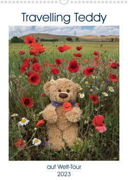 Travelling Teddy auf Welt-Tour (Wandkalender 2023 DIN A3 hoch) von Kneidinger,  Christian