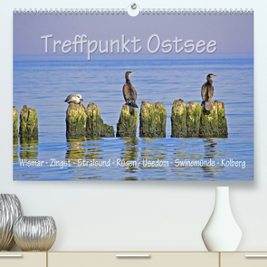 Treffpunkt Ostsee (Premium, hochwertiger DIN A2 Wandkalender 2022, Kunstdruck in Hochglanz) von Michalzik,  Paul