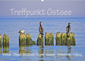 Treffpunkt Ostsee (Wandkalender 2022 DIN A2 quer) von Michalzik,  Paul