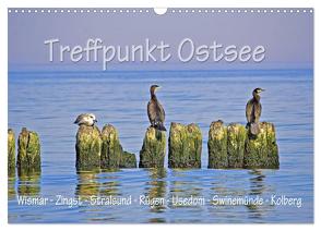 Treffpunkt Ostsee (Wandkalender 2024 DIN A3 quer), CALVENDO Monatskalender von Michalzik,  Paul