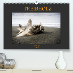 Treibholz Costa Rica (Premium, hochwertiger DIN A2 Wandkalender 2022, Kunstdruck in Hochglanz) von Staack,  Oliver