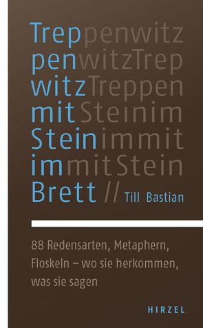 Treppenwitz mit Stein im Brett von Bastian,  Till