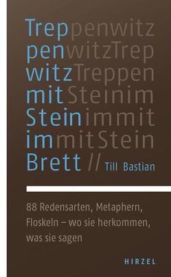 Treppenwitz mit Stein im Brett von Bastian,  Till