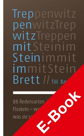 Treppenwitz mit Stein im Brett von Bastian,  Till