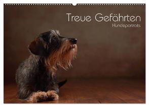 Treue Gefährten – Hundeportraits (Wandkalender 2024 DIN A2 quer), CALVENDO Monatskalender von Behr,  Jana