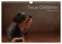 Treue Gefährten – Hundeportraits (Wandkalender 2024 DIN A4 quer), CALVENDO Monatskalender von Behr,  Jana
