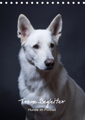 Treue Wegbegleiter, Hunde im Portrait. (Tischkalender 2021 DIN A5 hoch) von Stark,  Susanne