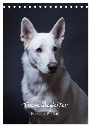 Treue Wegbegleiter, Hunde im Portrait. (Tischkalender 2024 DIN A5 hoch), CALVENDO Monatskalender von Stark,  Susanne