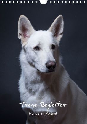 Treue Wegbegleiter, Hunde im Portrait. (Wandkalender 2019 DIN A4 hoch) von Stark,  Susanne