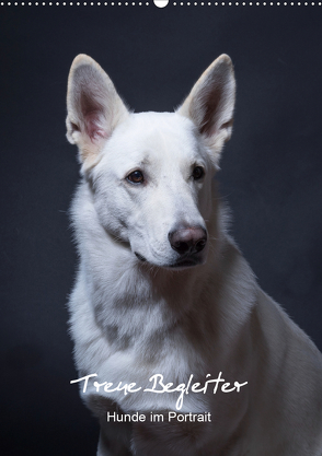 Treue Wegbegleiter, Hunde im Portrait. (Wandkalender 2020 DIN A2 hoch) von Stark,  Susanne