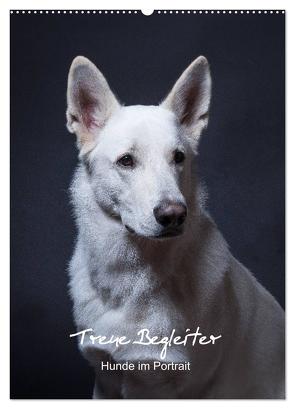 Treue Wegbegleiter, Hunde im Portrait. (Wandkalender 2024 DIN A2 hoch), CALVENDO Monatskalender von Stark,  Susanne