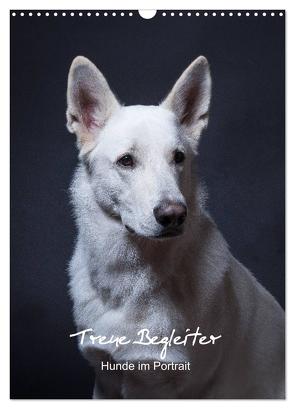 Treue Wegbegleiter, Hunde im Portrait. (Wandkalender 2024 DIN A3 hoch), CALVENDO Monatskalender von Stark,  Susanne