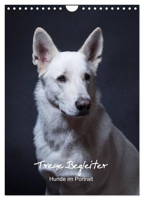 Treue Wegbegleiter, Hunde im Portrait. (Wandkalender 2024 DIN A4 hoch), CALVENDO Monatskalender von Stark,  Susanne