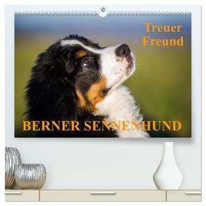 Treuer Freund Berner Sennenhund (hochwertiger Premium Wandkalender 2024 DIN A2 quer), Kunstdruck in Hochglanz von Starick,  Sigrid