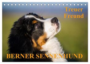 Treuer Freund Berner Sennenhund (Tischkalender 2024 DIN A5 quer), CALVENDO Monatskalender von Starick,  Sigrid
