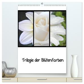 Trilogie der Blütenfarben (hochwertiger Premium Wandkalender 2024 DIN A2 hoch), Kunstdruck in Hochglanz von Busch,  Martina