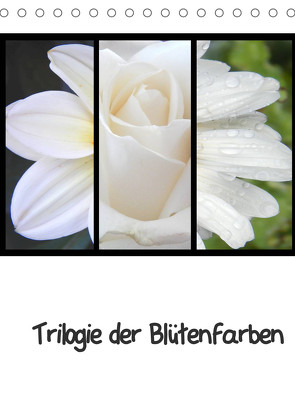 Trilogie der Blütenfarben (Tischkalender 2022 DIN A5 hoch) von Busch,  Martina
