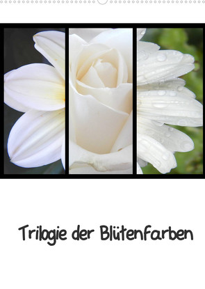 Trilogie der Blütenfarben (Wandkalender 2023 DIN A2 hoch) von Busch,  Martina
