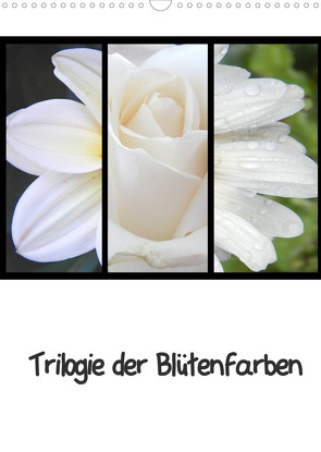 Trilogie der Blütenfarben (Wandkalender 2023 DIN A3 hoch) von Busch,  Martina