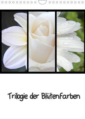 Trilogie der Blütenfarben (Wandkalender 2023 DIN A4 hoch) von Busch,  Martina