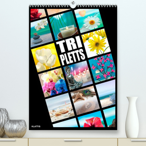 TRIPLETTS – Der anspruchsvolle Familienplaner (Premium, hochwertiger DIN A2 Wandkalender 2022, Kunstdruck in Hochglanz) von Klattis