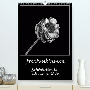 Trockenblumen Schönheiten in schwarz-weiß (Premium, hochwertiger DIN A2 Wandkalender 2021, Kunstdruck in Hochglanz) von Beuck,  Angelika