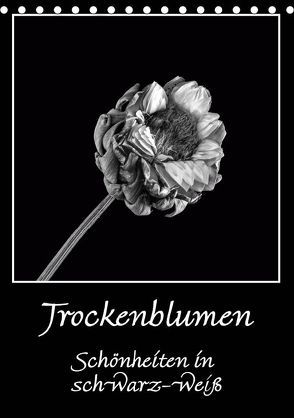 Trockenblumen Schönheiten in schwarz-weiß (Tischkalender 2019 DIN A5 hoch) von Beuck,  Angelika