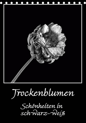 Trockenblumen Schönheiten in schwarz-weiß (Tischkalender 2020 DIN A5 hoch) von Beuck,  Angelika