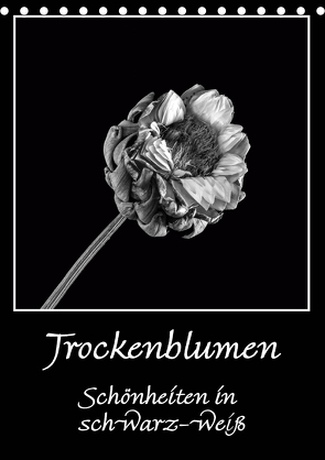 Trockenblumen Schönheiten in schwarz-weiß (Tischkalender 2021 DIN A5 hoch) von Beuck,  Angelika