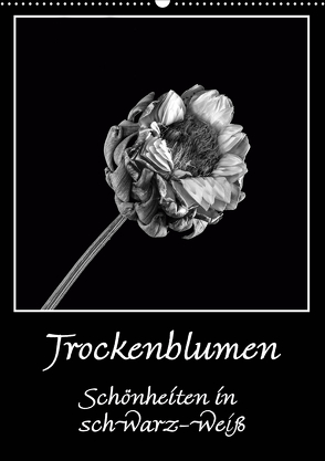 Trockenblumen Schönheiten in schwarz-weiß (Wandkalender 2020 DIN A2 hoch) von Beuck,  Angelika