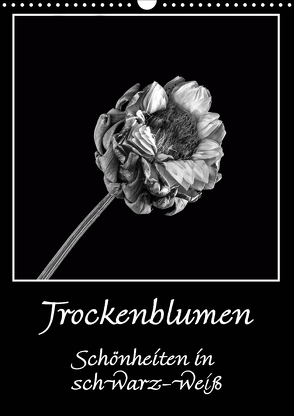 Trockenblumen Schönheiten in schwarz-weiß (Wandkalender 2020 DIN A3 hoch) von Beuck,  Angelika