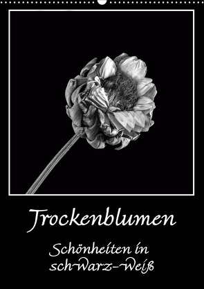Trockenblumen Schönheiten in schwarz-weiß (Wandkalender 2021 DIN A2 hoch) von Beuck,  Angelika