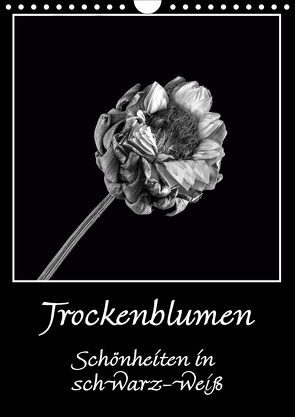 Trockenblumen Schönheiten in schwarz-weiß (Wandkalender 2021 DIN A4 hoch) von Beuck,  Angelika