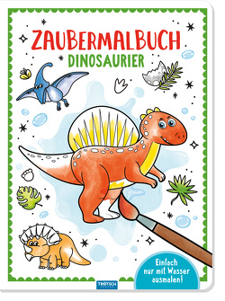 Trötsch Malbuch Zaubermalbuch Dinosaurier von Trötsch Verlag GmbH & Co. KG